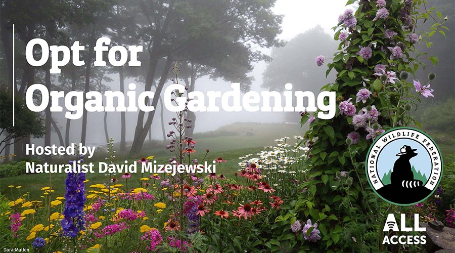 Opt for Organic Gardening - Hosted by Naturalist David Mizejewski