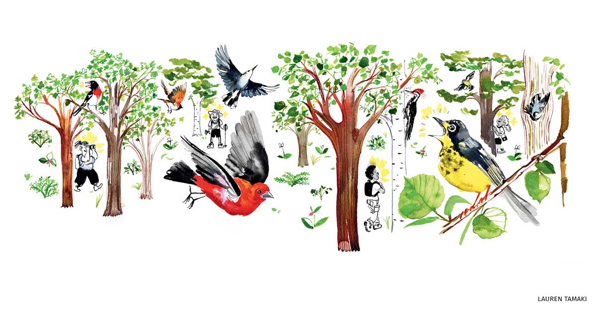 An illustration of birds flying and sitting in trees.