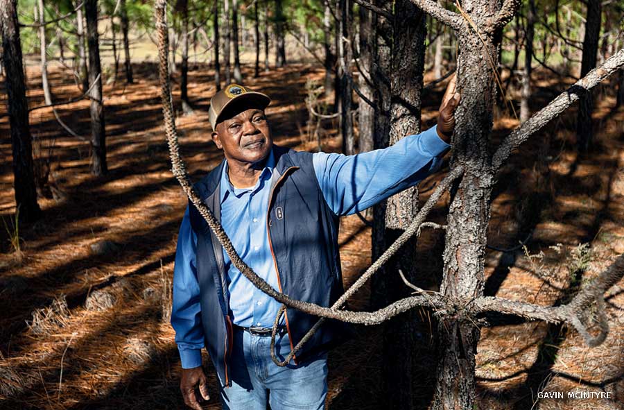 An image of Herbert Hodges leaning against a Longleaf Pine tree.