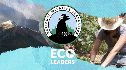Eco Leaders