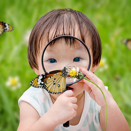 Child looking at a butterfly with a magnifying glass