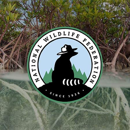 National Wildlife Federation logo over marshland photograph