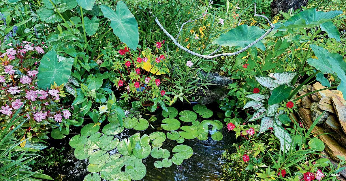 An image a pond surrounded by a mixture of shrubs and blooms in a Certified Wildlife Habitat in Florida.