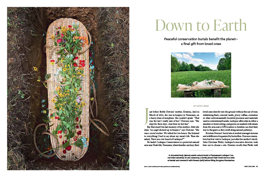 A magazine spread with text and two images of a wicker basket covered with flowers and a shrouded body awaiting natural burial at Tennessee’s Larkspur Conservation cemetery.