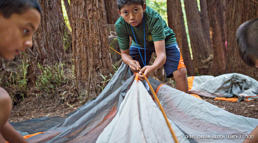 Students from San Jose CA setting up tents for a first time outdoor program in the Santa Cruz mountains
