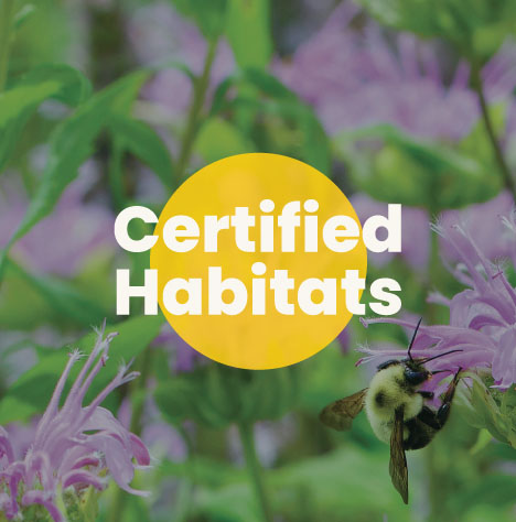 Certified Habitats