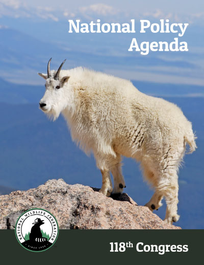 NWF National Policy Agenda