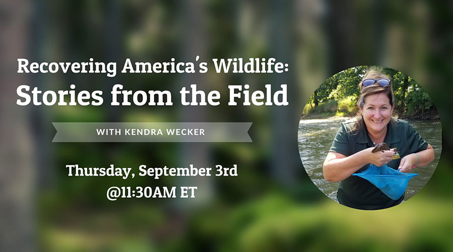 Recovering America's Wildlife: Stories from the Field with Kendra Wecker - Thursday, September 3rd @ 11:30AM ET