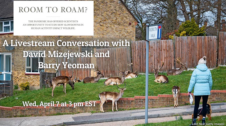 Room to Roam? A Livestream Conversation with David Mizejewski and Barry Yeoman