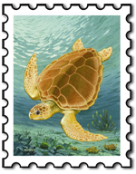 Sea Turtle Stamp