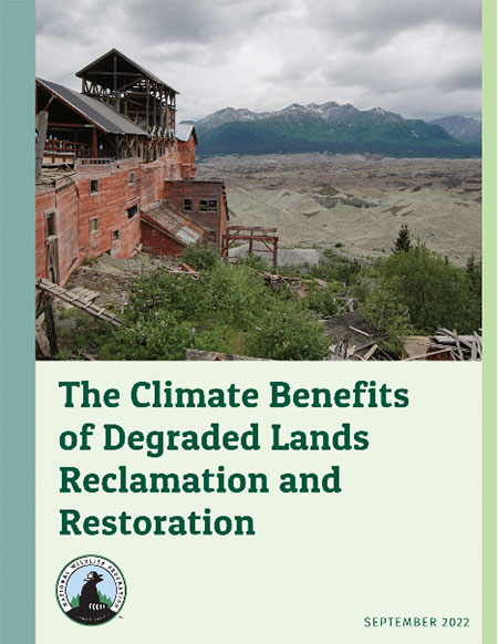 The Climate Benefits of Degraded Lands Reclamation and Restoration