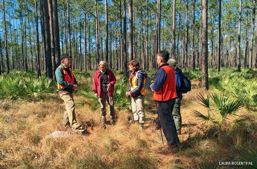 A Florida Trail Association plant Identification Hike in Apalachicola National Forest.