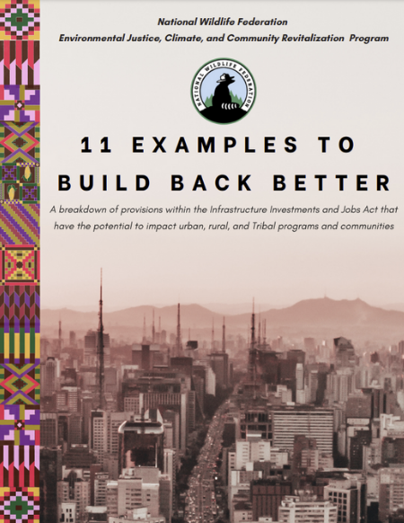 11 Examples Build Back Better cover