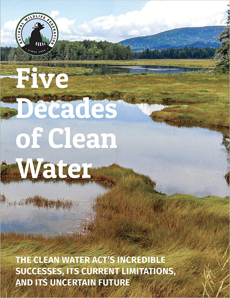 Five Decades of Clean Water