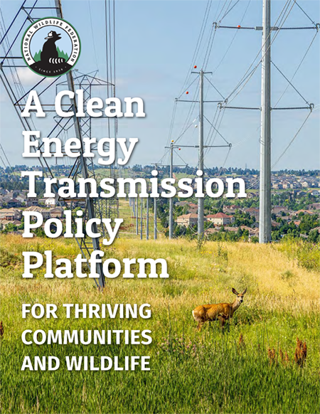 A Clean Energy Transmission Policy Platform for Thriving Communities and Wildlife