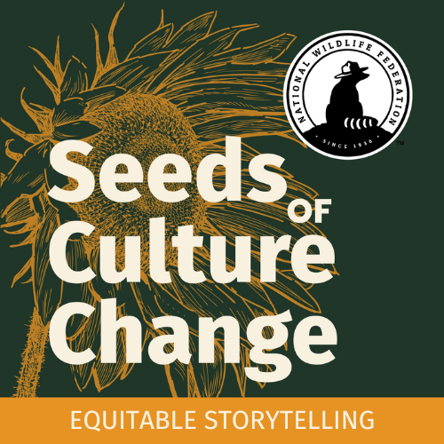 Equitable Storytelling podcast cover