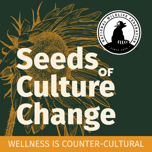 seeds of culture change podcast cover