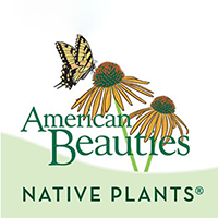 American Beauties native plants logo