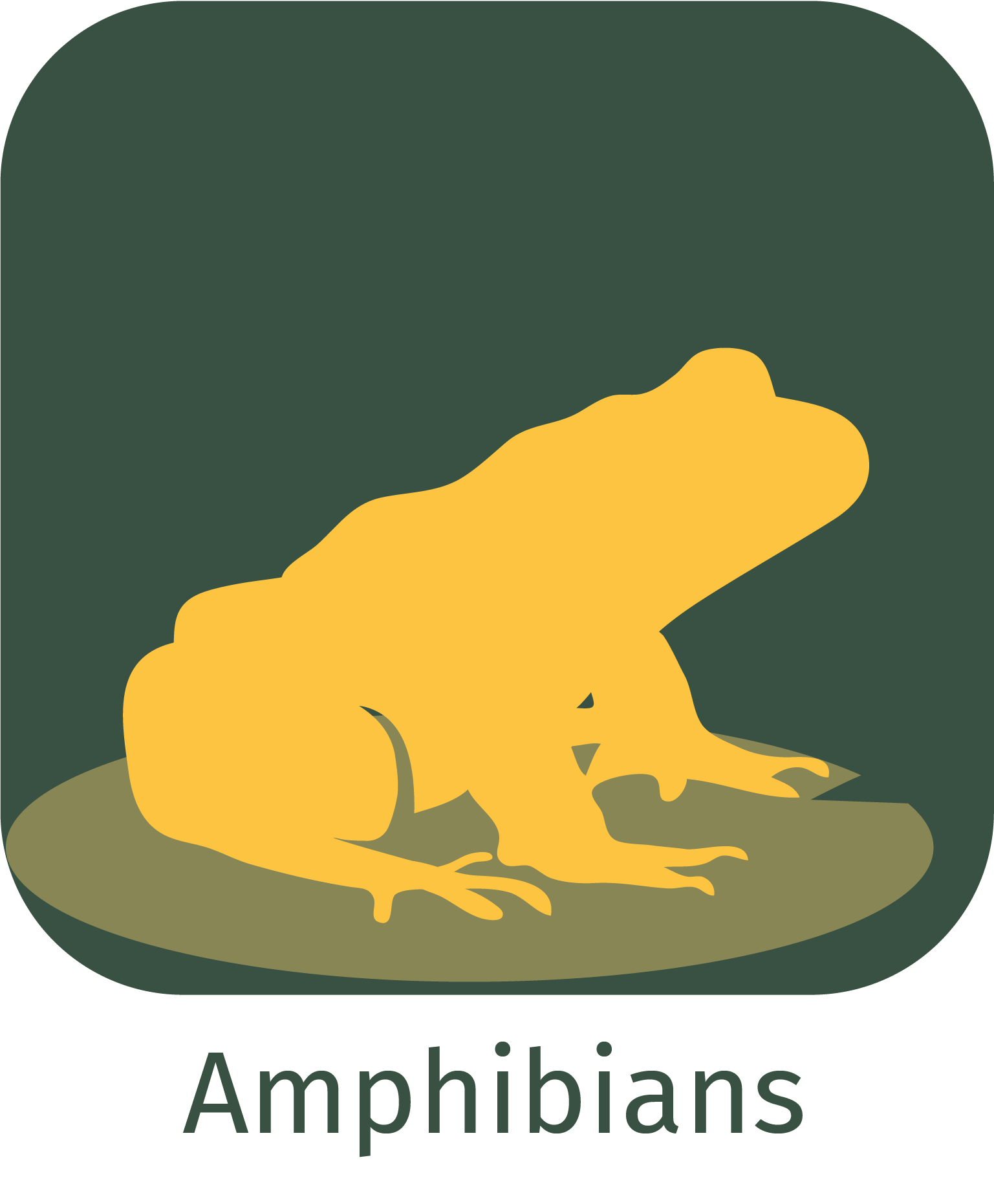 amphibians app icon