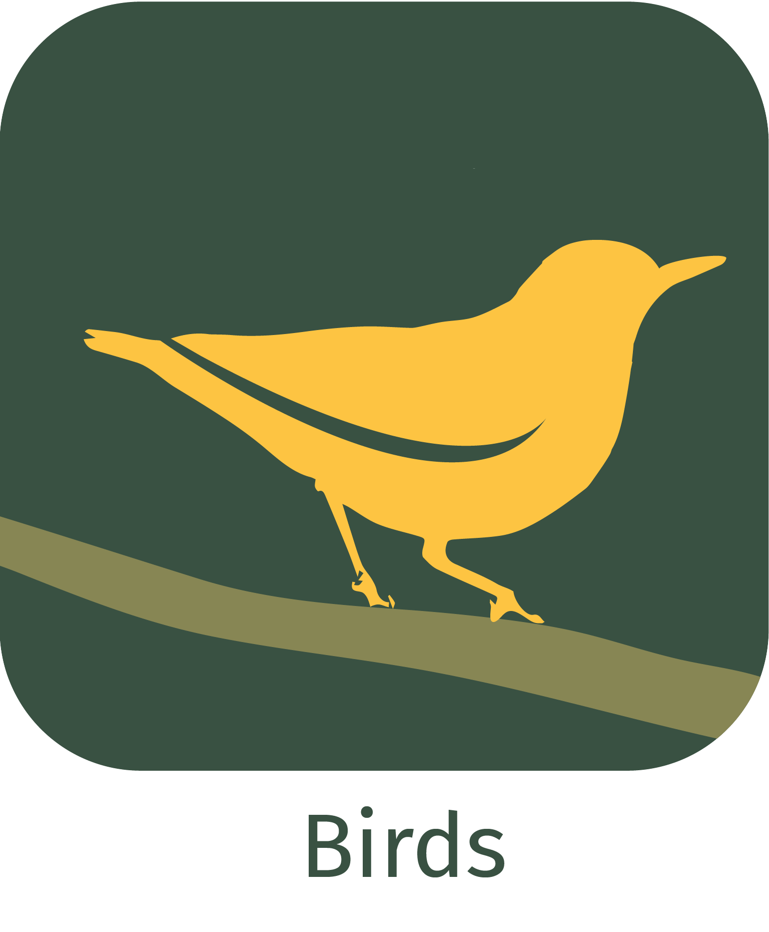 birds app icon