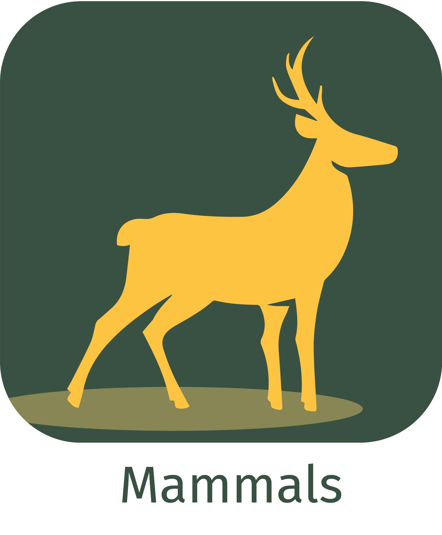 mammals app icon