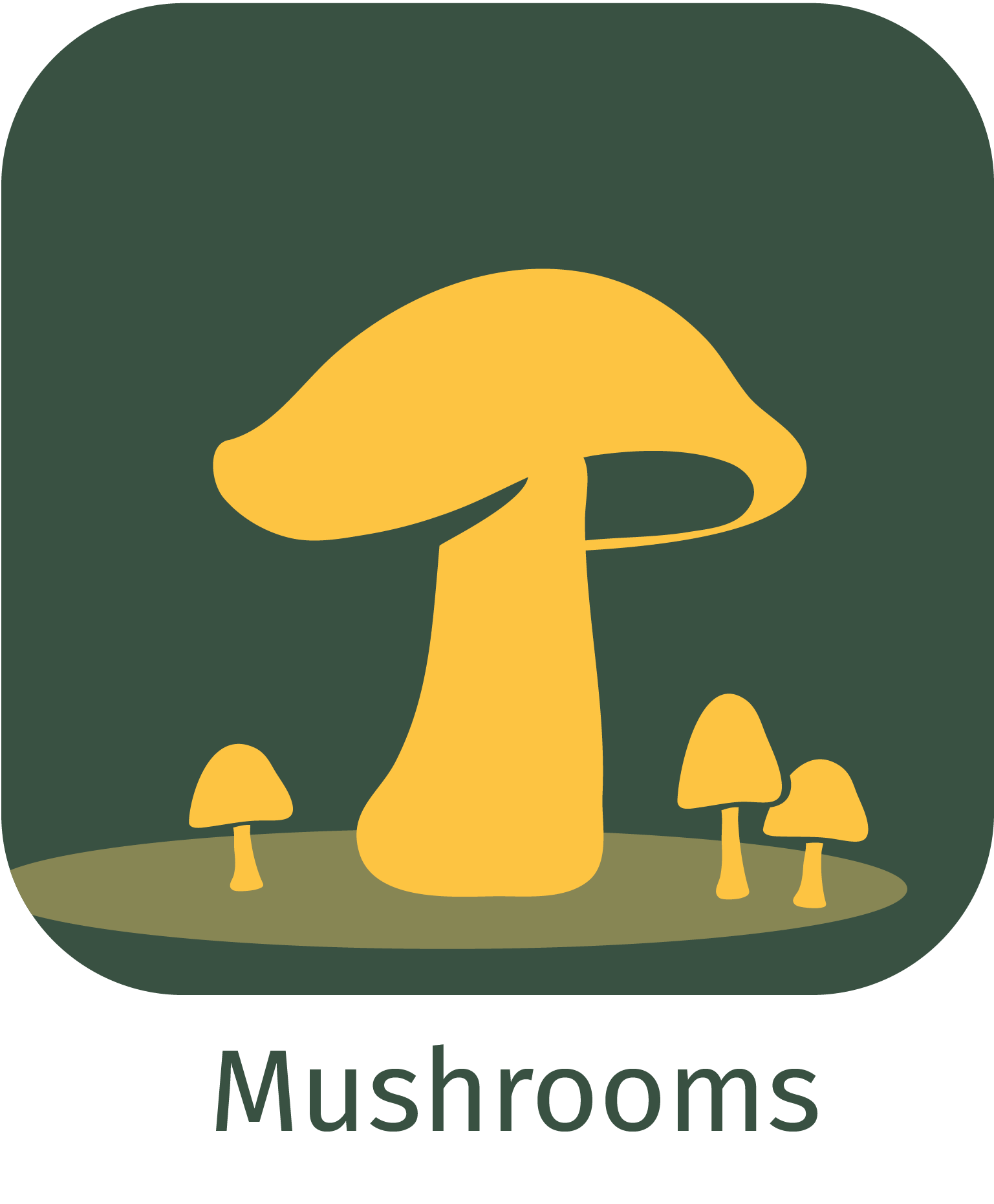mushrooms app icon