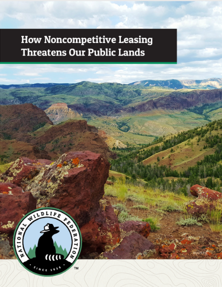 Noncompetitive Leasing Report