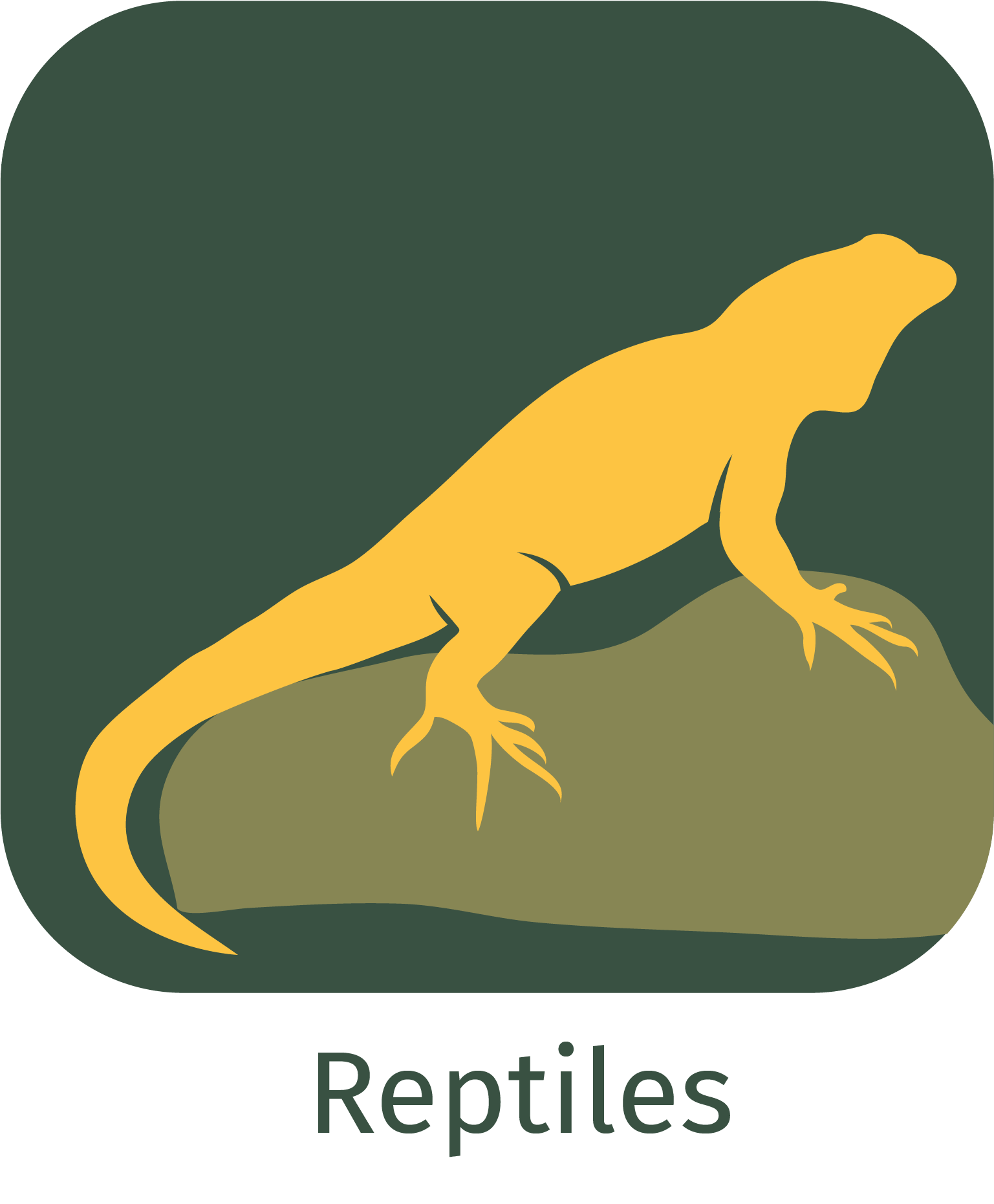 reptiles app icon