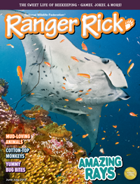 Subscribe to Ranger Rick Magazines!